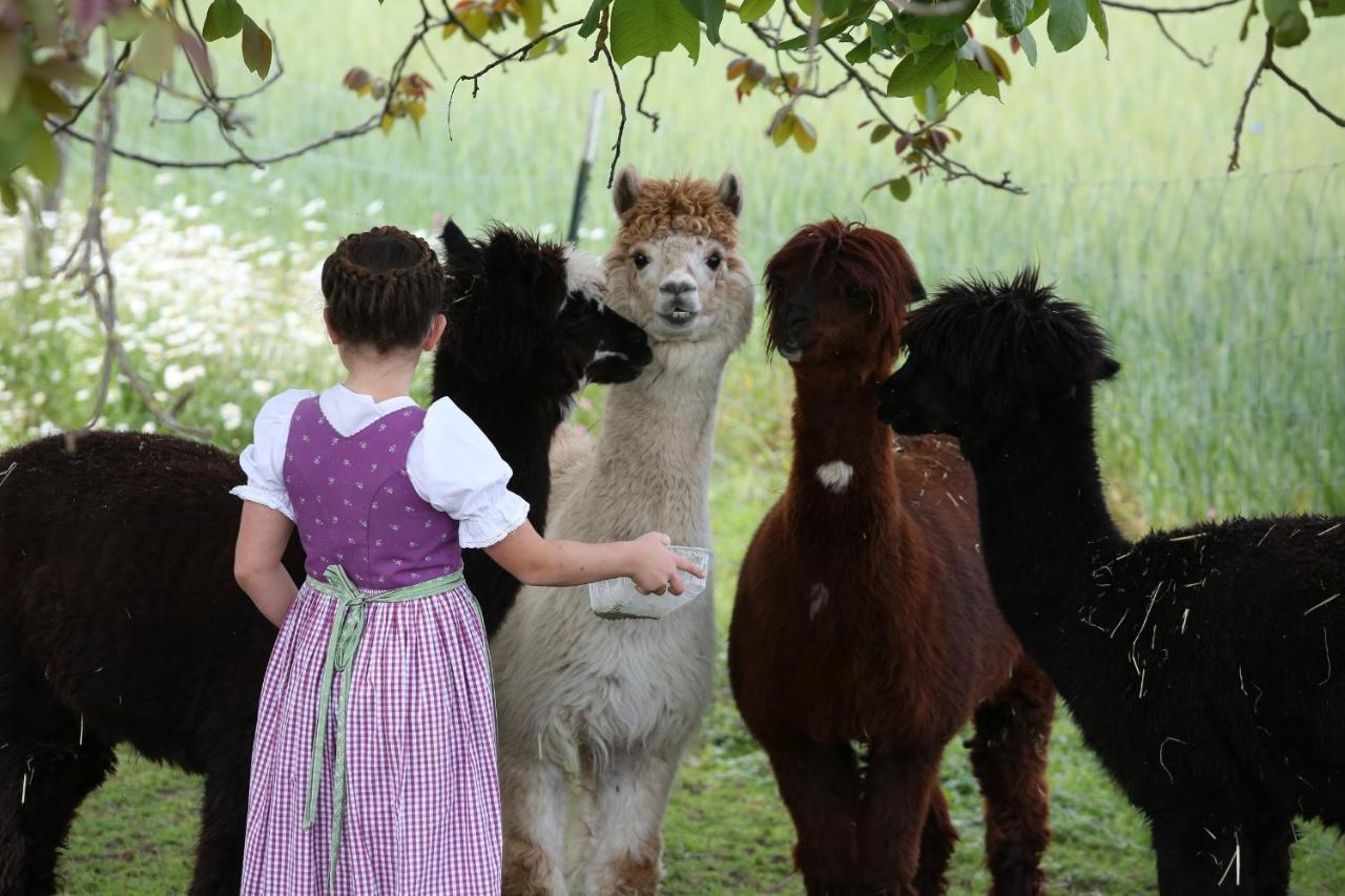 Beim Lenglacher Chieming Luaran gambar